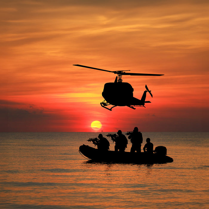 Secrets of the US Navy SEAL Training: What It Takes to Join