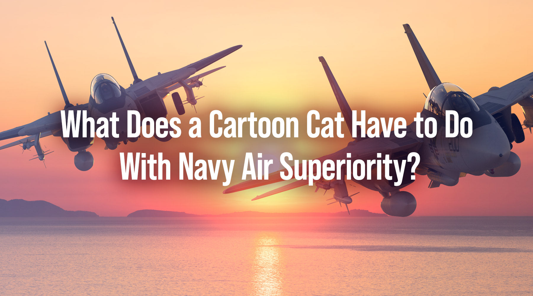 What Does a Cartoon Cat Have to Do With Navy Air Superiority?