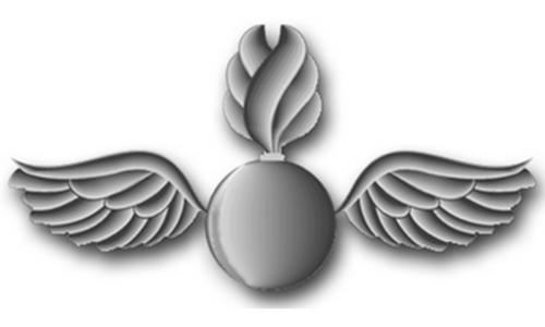 Ao2 Navy Aviation Ordnancemen — USN for Life